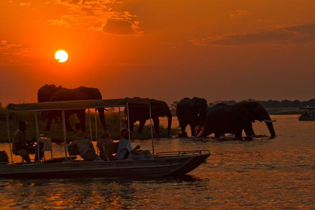 Zambia
